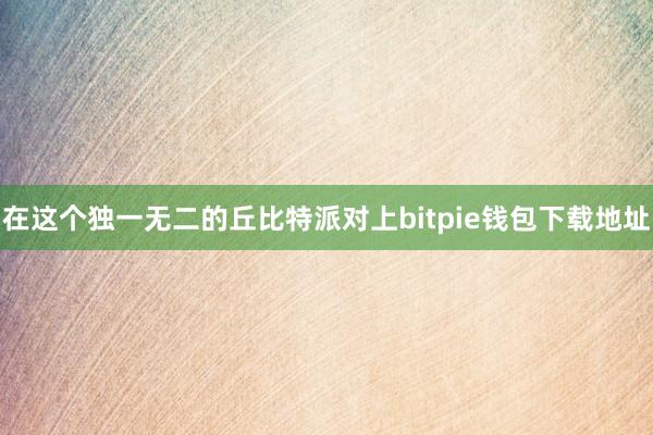 在这个独一无二的丘比特派对上bitpie钱包下载地址