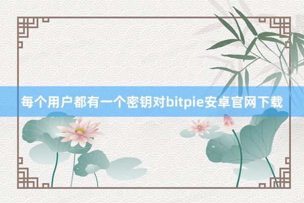 每个用户都有一个密钥对bitpie安卓官网下载