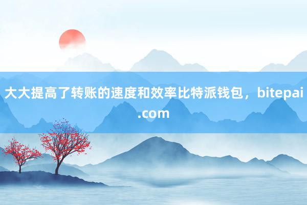 大大提高了转账的速度和效率比特派钱包，bitepai.com