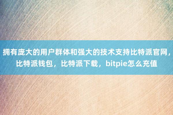 拥有庞大的用户群体和强大的技术支持比特派官网，比特派钱包，比特派下载，bitpie怎么充值