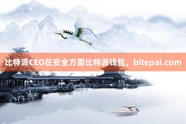 比特派CEO在安全方面比特派钱包，bitepai.com