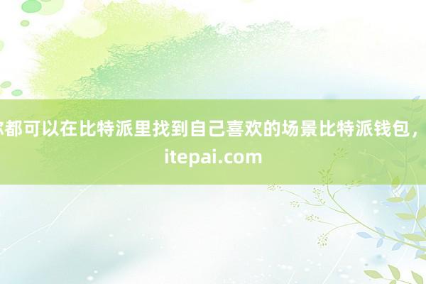 你都可以在比特派里找到自己喜欢的场景比特派钱包，bitepai.com