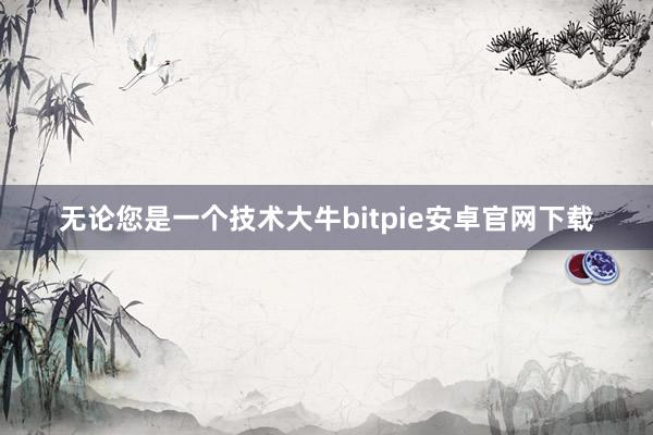 无论您是一个技术大牛bitpie安卓官网下载