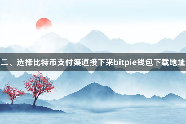 二、选择比特币支付渠道接下来bitpie钱包下载地址