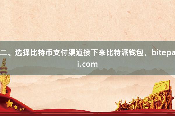 二、选择比特币支付渠道接下来比特派钱包，bitepai.com