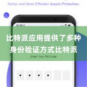 比特派应用提供了多种身份验证方式比特派