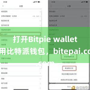 打开Bitpie wallet应用比特派钱包，bitepai.com