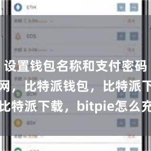 设置钱包名称和支付密码比特派官网，比特派钱包，比特派下载，bitpie怎么充值