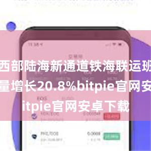 西部陆海新通道铁海联运班列运输量增长20.8%bitpie官网安卓下载