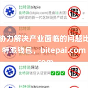 协力解决产业面临的问题比特派钱包，bitepai.com