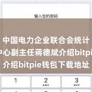 中国电力企业联合会统计与数据中心副主任蒋德斌介绍bitpie钱包下载地址