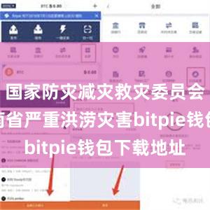 国家防灾减灾救灾委员会针对湖南省严重洪涝灾害bitpie钱包下载地址