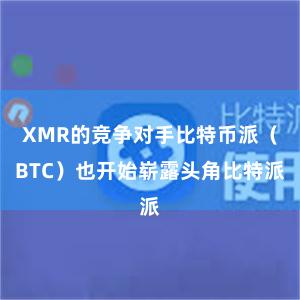 XMR的竞争对手比特币派（BTC）也开始崭露头角比特派