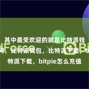 其中最受欢迎的就是比特派钱比特派官网，比特派钱包，比特派下载，bitpie怎么充值